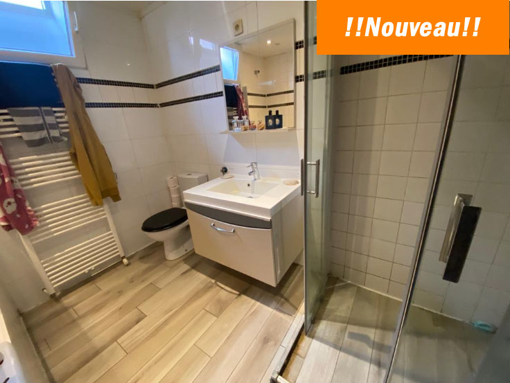 maison à vendre jemeppe - new