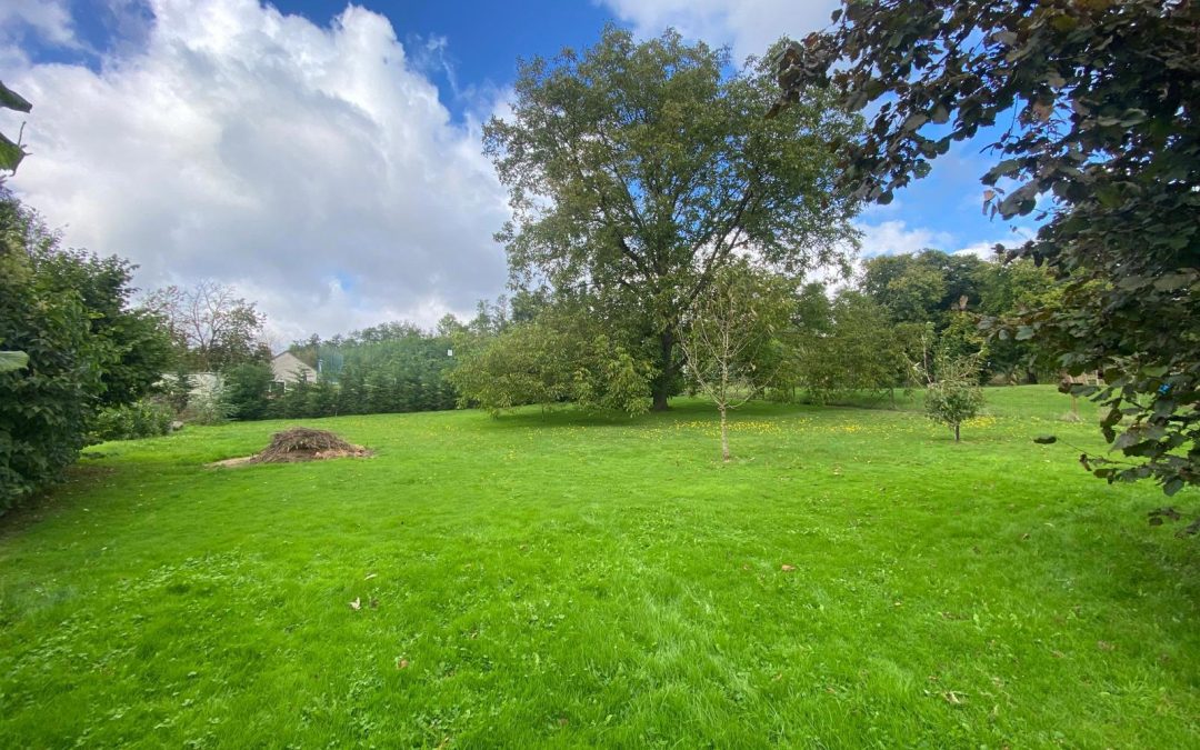 Terrain à bâtir à vendre à Wanze